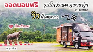 จุดจอดนอนในรถฟรี รูปปั้นวัวแดง วิวน้ำตกหงาว ภูเขาหญ้า จ.ระนอง วันที่ 5-9-68