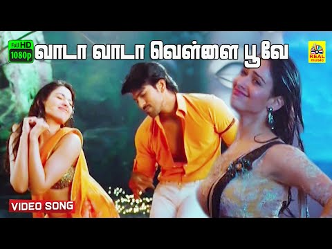 Vaada Vaada Vellai Poove Tamil Dubbed -Video Song | Ragalai | Ramcharan | Tamannah | Mani Sharma
