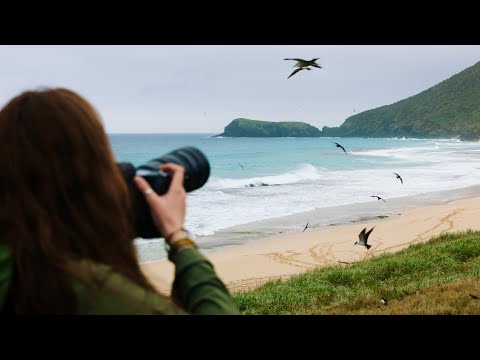 Bird Photography On A Hidden Tropical Island!