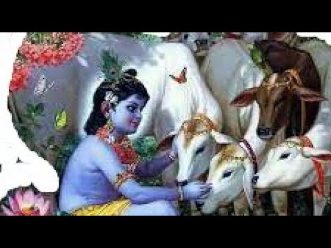 kRISHNA FAZ UMA PERGUNTA A NARADA