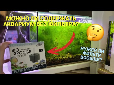 АКВАРИУМ БЕЗ ФИЛЬТРА: МОЖНО ЛИ СОДЕРЖАТЬ? l ПОЧЕМУ МОЖНО И ПОЧЕМУ НЕЛЬЗЯ l НУЖЕН ЛИ ВООБЩЕ ФИЛЬТР?