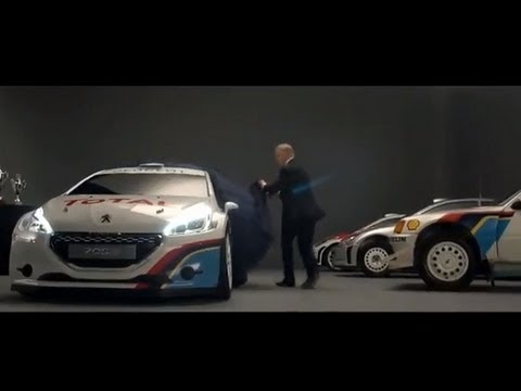 Peugeot 208 Type R5: Born To Race 