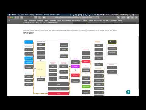 T-BioInfo platform: DEMO pipelines and multi-omics integration