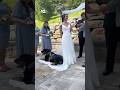 Dogs Who Made Their Human S Weddings Special