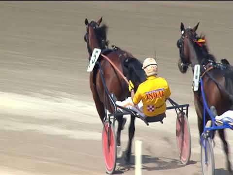 Trotto 01/05/2019 - 4ª corsa - G.P. Lotteria 2ª batteria