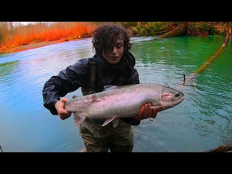 BIG Winter Steelhead in Tiny Side Channel +  Brown Trout