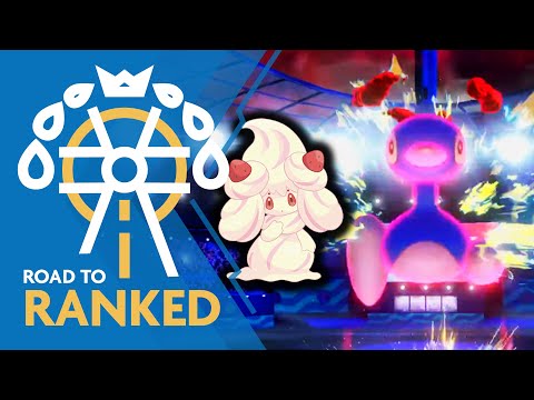 I Fought an Unexpected Duo... • Competitive Pokemon VGC Series 8 Wi-Fi Battles