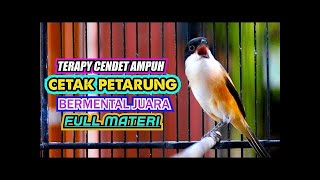 Download lagu PALING DICARI TERAPY CENDET AMPUH CETAK PETARUNG B... mp3
