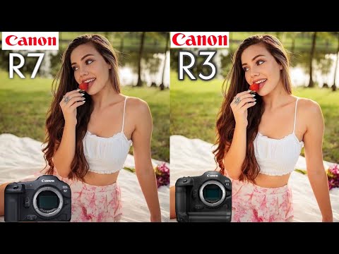 Canon Eos R7 VS Canon Eos R3 Autofocus Camera Comparison
