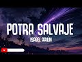 Isabel Aaiún - Potra Salvaje + Beatdrop (Hard Remix) ft. Fernando Moreno