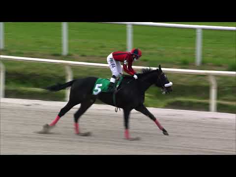 210828 c05 MAXIMO TAJES