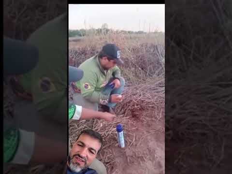 Uberaba - Estado De Minas Gerais  Ciência do homem do campo 🤠
