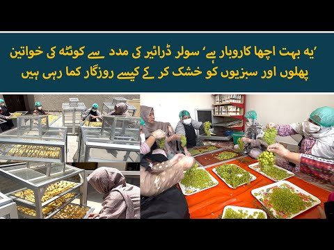 How Quetta's Woman are drying fruits and vegetables for their monthly income | Urdu News