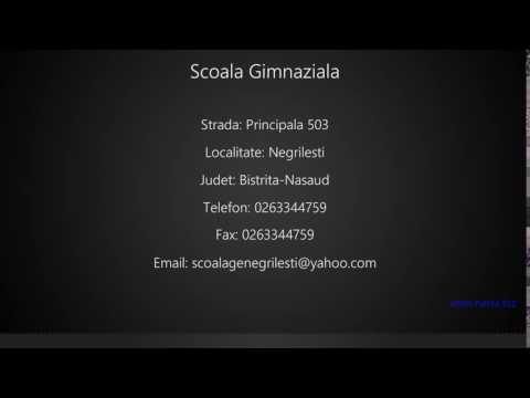 Scoala Gimnaziala Negrilesti