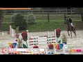 Ruin Selle Fran&ccedil;ais Te koop 2019 Donker bruin / bai ,  OGRION DES CHAMPS
