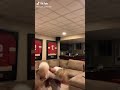 Dancing grandma TikTok