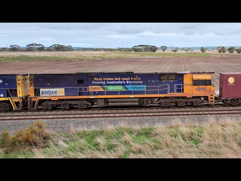 4PM4 Pacific National Steel & Container Freight Train With NR2 & NR84 (2/7/2023) - PoathTV Railways
