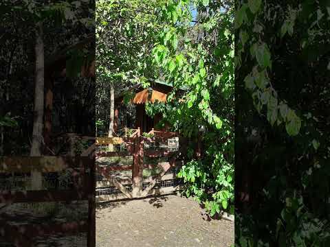 Casa de bosque y río, Biocontrucción en Balneario Santa Ana, Colonia, Uruguay