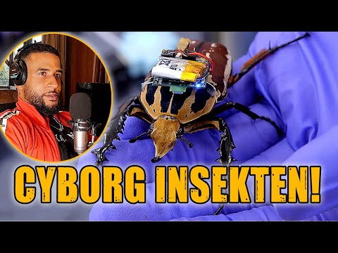 CYBORG INSEKTEN 🪲 SIND WIR DIE NÄCHSTEN ? 😱 REACTION - Leon Lovelock