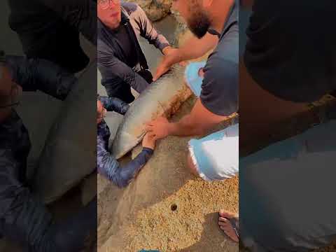 Pesque pague do Tadeu em Prudente De Morais