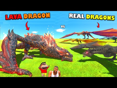 FIRE LAVA DRAGON vs ARBS DRAGONS in Animal Revolt Battle Simulator | SHINCHAN and CHOP