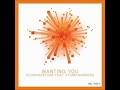 Schwarz Funk Storm Marrero Wanting You Miller Cruz Brazil Mix