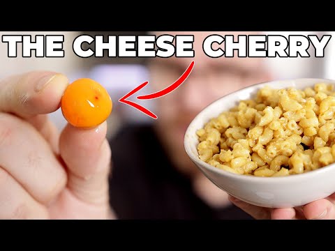 This Cherry Tastes like CHEESE