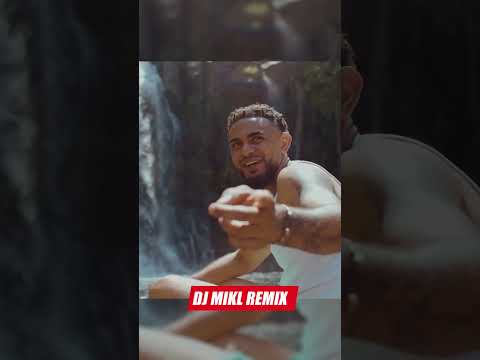 WIZDOM - La réunion lé la (DJ MIKL Remix)