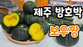 제주 미니단호박 보우짱! 밤호박 애월 소담농원
