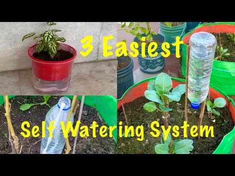 , title : '3 Easiest Self Watering System For Your Plants
