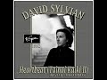 David Sylvian - Heartbeat (Tainai Kaiki II)