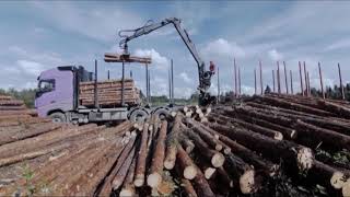 Уголовное дело заведено в отношении министра лесного комплекса