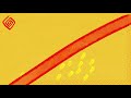 Béla Fleck with Djelimady Tounkara - Mariam (Official Audio)