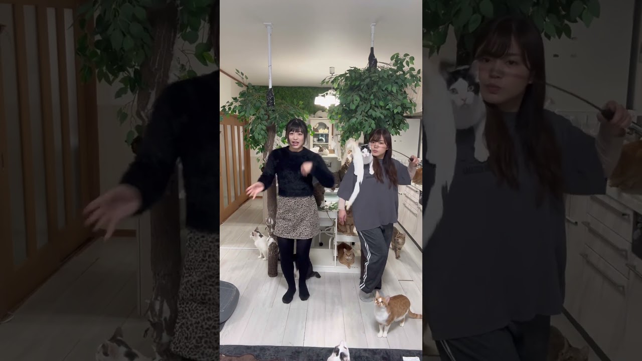 あけましておめでとうございます。