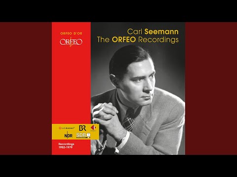 Violin Sonata No. 3 in E Major, BWV 1016: III. Adagio ma non tanto