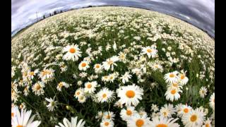 The Beatles "Mother Nature's Son" Cover / Home Recording