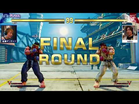 Ryu vs Ryu Double K.O.