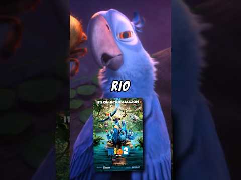 Did You Notice These 5 Things In Rio 2