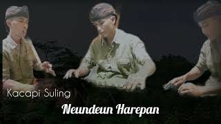 Download lagu Neundeun Harepan Kacapi Suling mp3