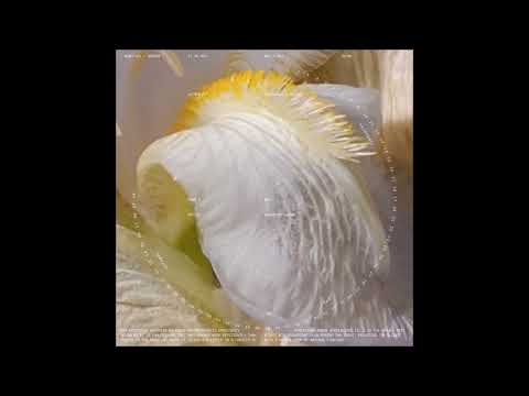 Benjamin Damage - Need U [FH001]