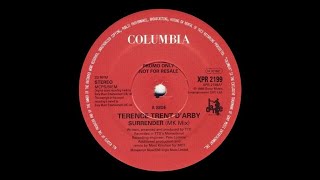 Terence Trent D&#39;arby - Surrender (MK Mix)