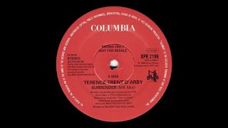 Terence Trent D&#39;arby - Surrender (MK Mix)