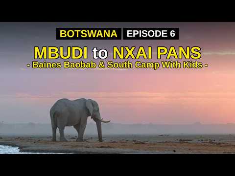 NXAI PANS BOTSWANA WITH KIDS | BOTSWANA'S GEM | SELF DRIVE SAFARI EPISODE 6