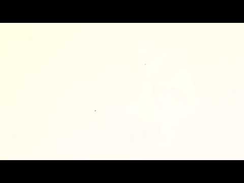 D Hunna - Follow the Leader