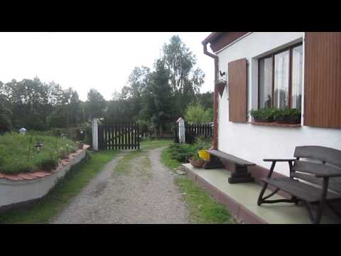 VIVO -- Akademia Możliwości