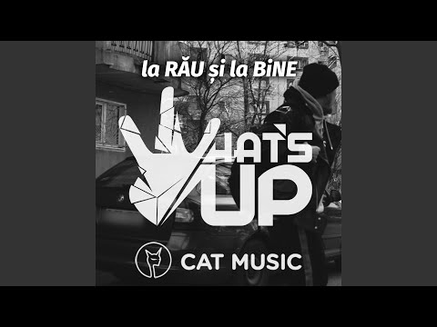 la RAU si la BINE