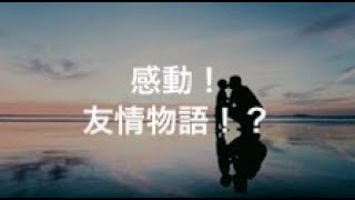 クソ雑魚暴言キッズと僕の感動物語【FPS】