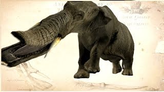 10 ANIMALES Que Estarás Muy FELIZ De Que Estén Extintos