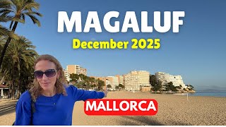 Resort Update: MAGALUF, Mallorca, December 2025