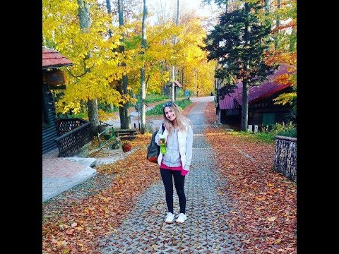 Zvonko Spajić-SPAJKI-Poželim da se vratim